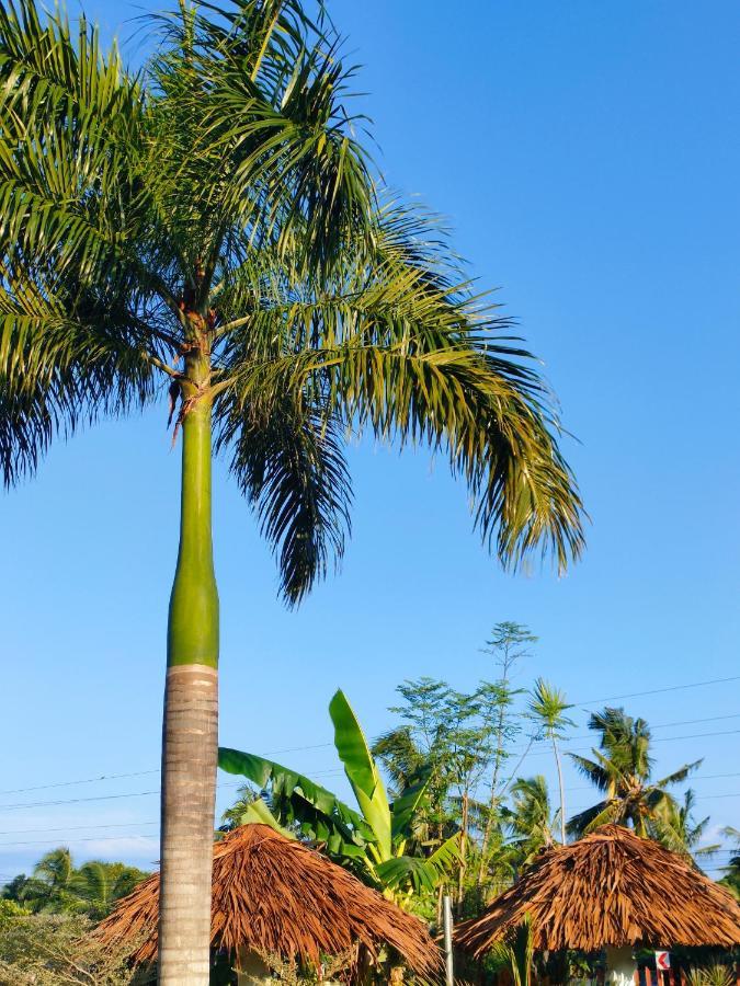 Mariella'S Guest House Siquijor Exterior foto